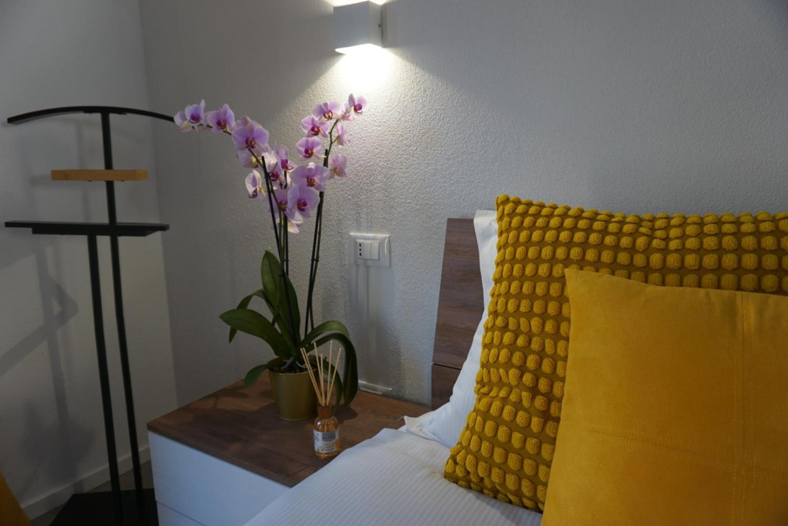 Elisa Apartments B - In Front Of The Walls Of Lucca Exteriör bild